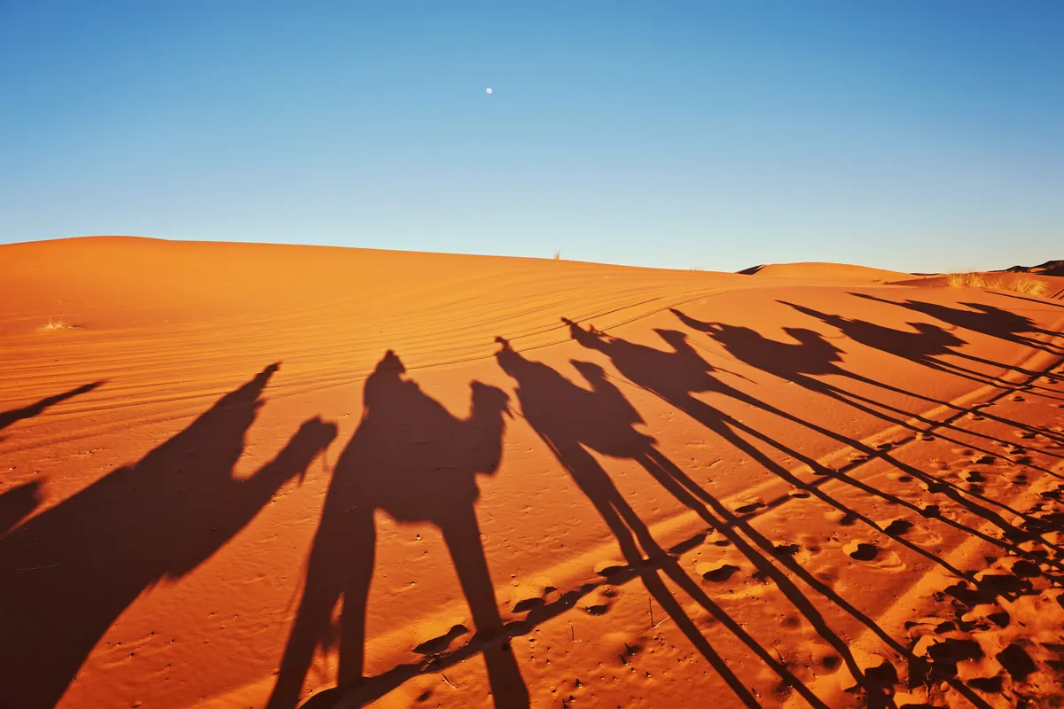 Saudi Tourism Authority × Akbar Travels: Mall Activation